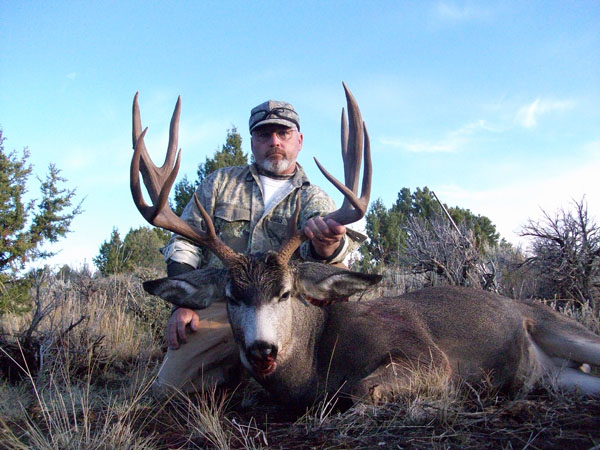 Mule Deer - Timberline Outfitters Guide Service, LLC