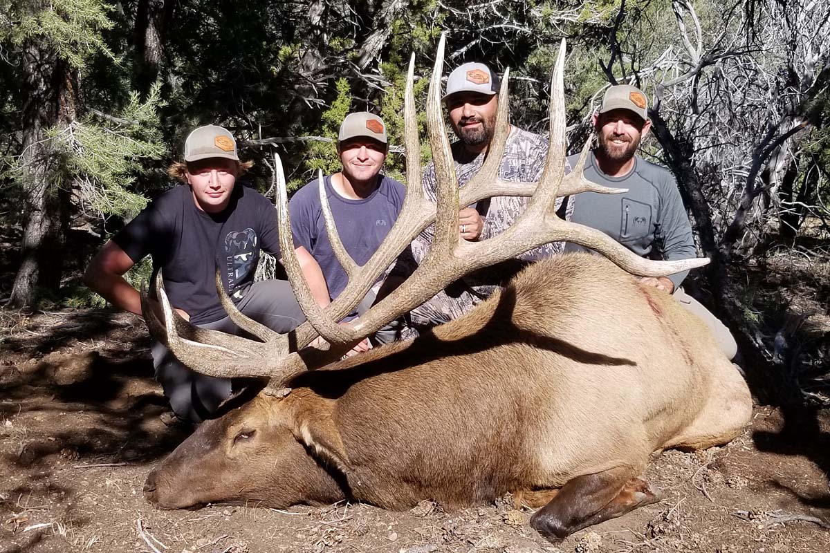 World Record Spider Bull Elk