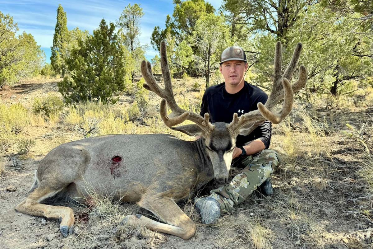 Trophy Mule Deer 2025