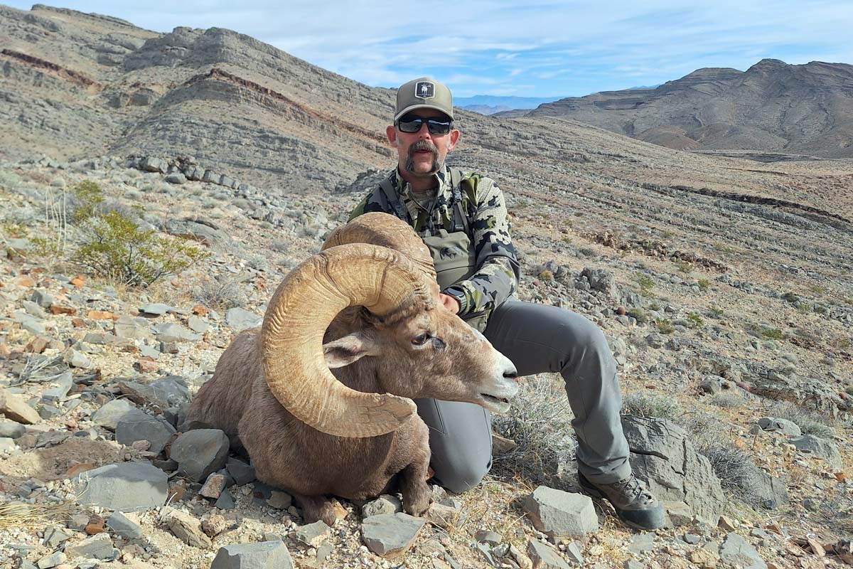 Bighorn Ram 2025