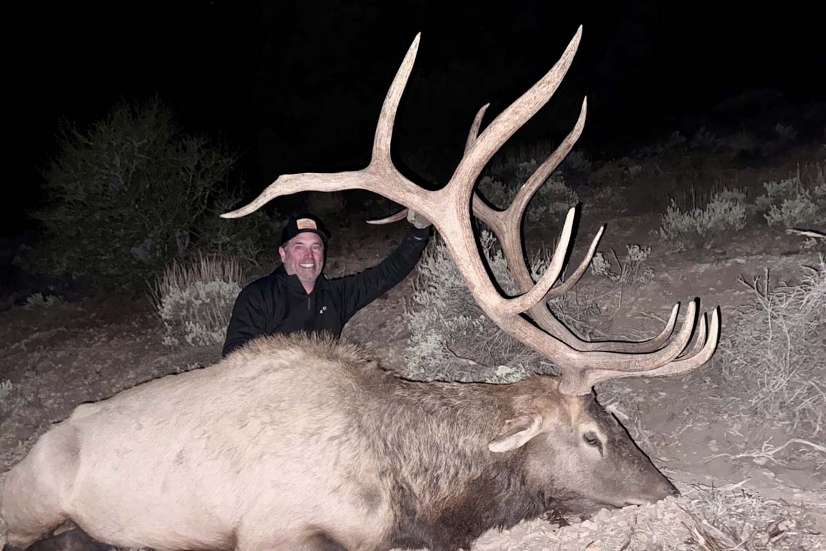Trophy Bull 2025